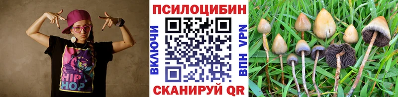 Купить где  Бобров  Галлюциногенные грибы Magic Shrooms 